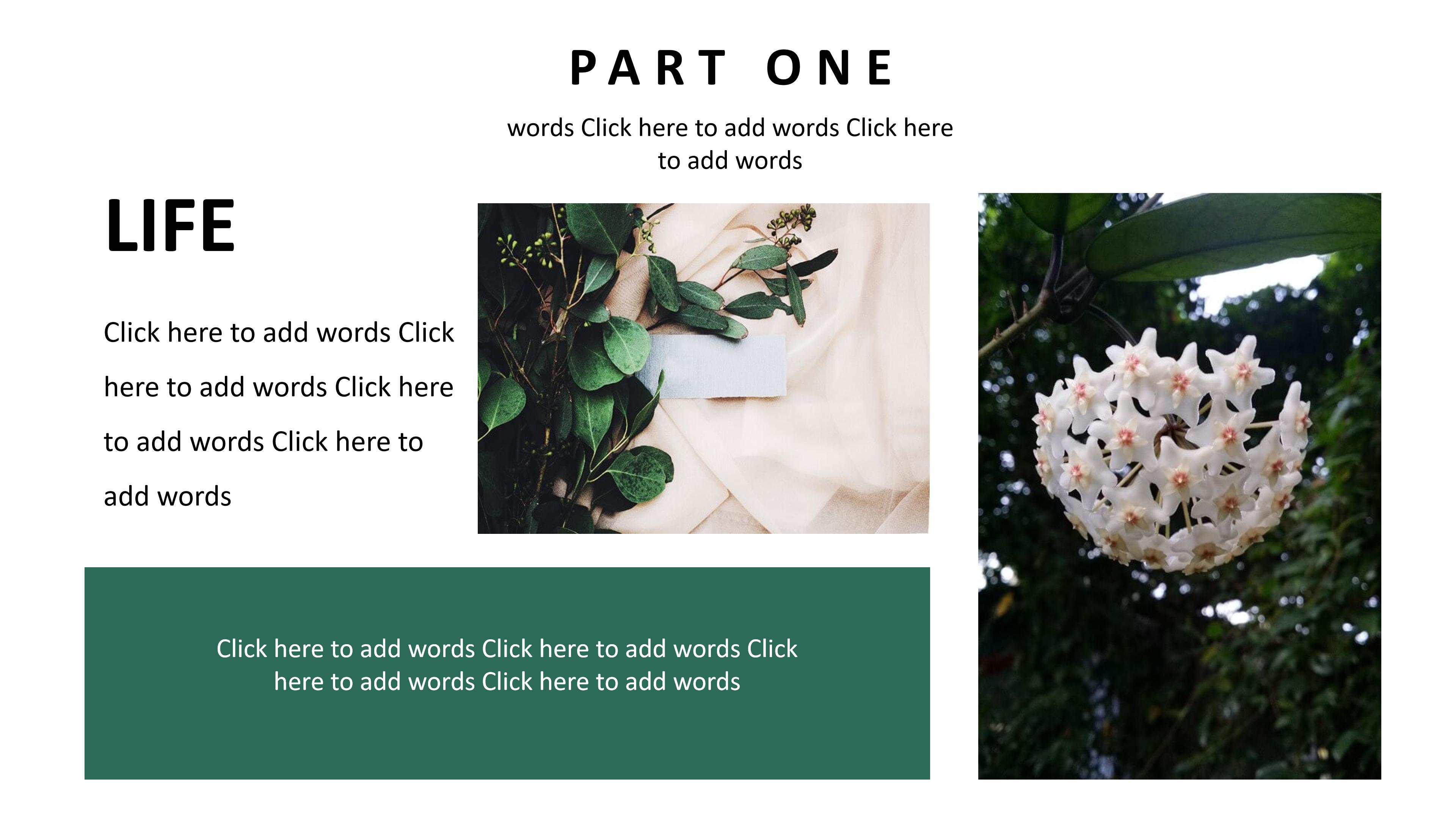 淡雅文艺欧美风图文排版商务通用PPT模板