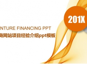 电商网站项目经验介绍ppt模板
