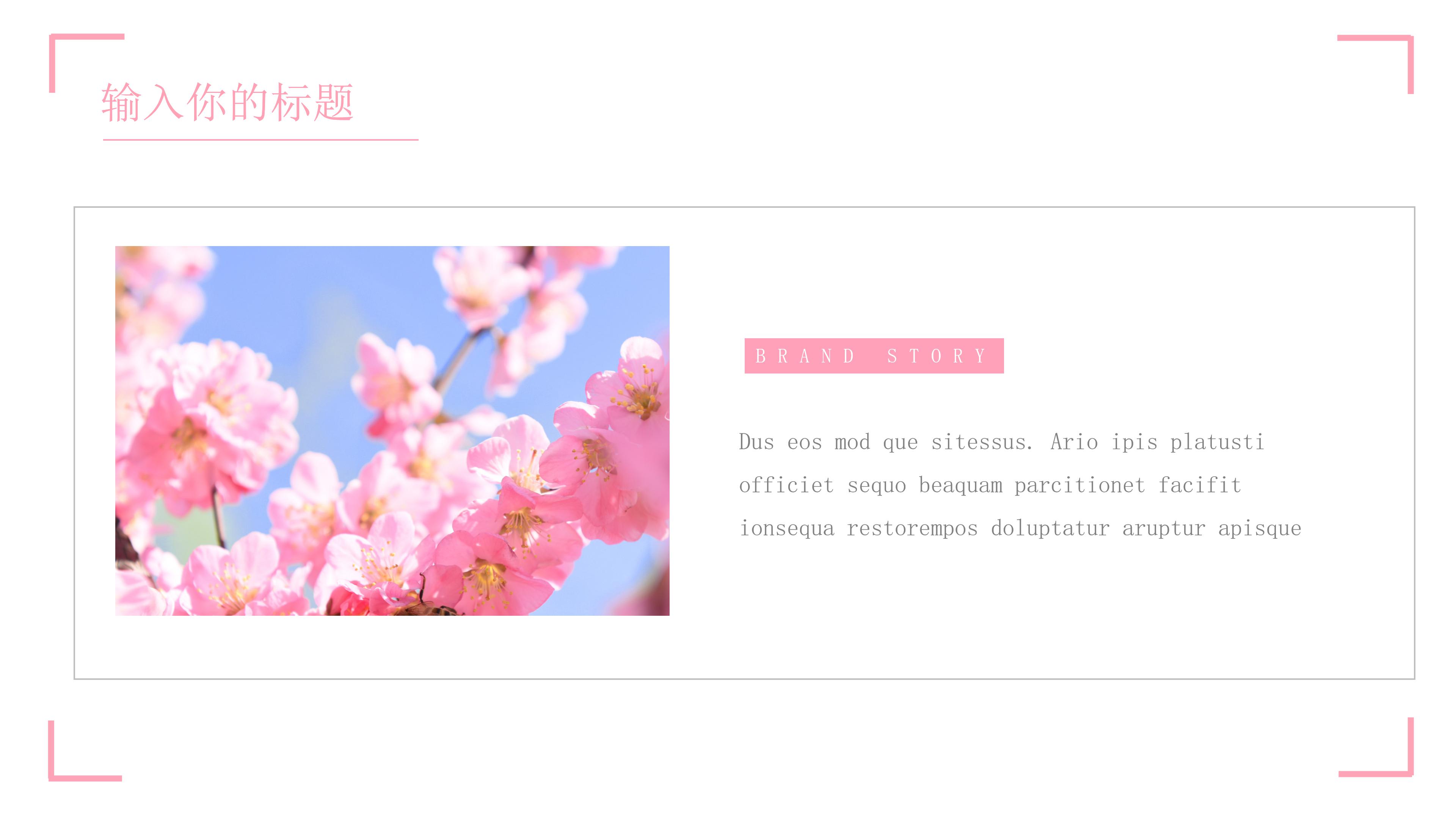 唯美粉嫩花卉背景点缀婚礼活动策划案PPT模板