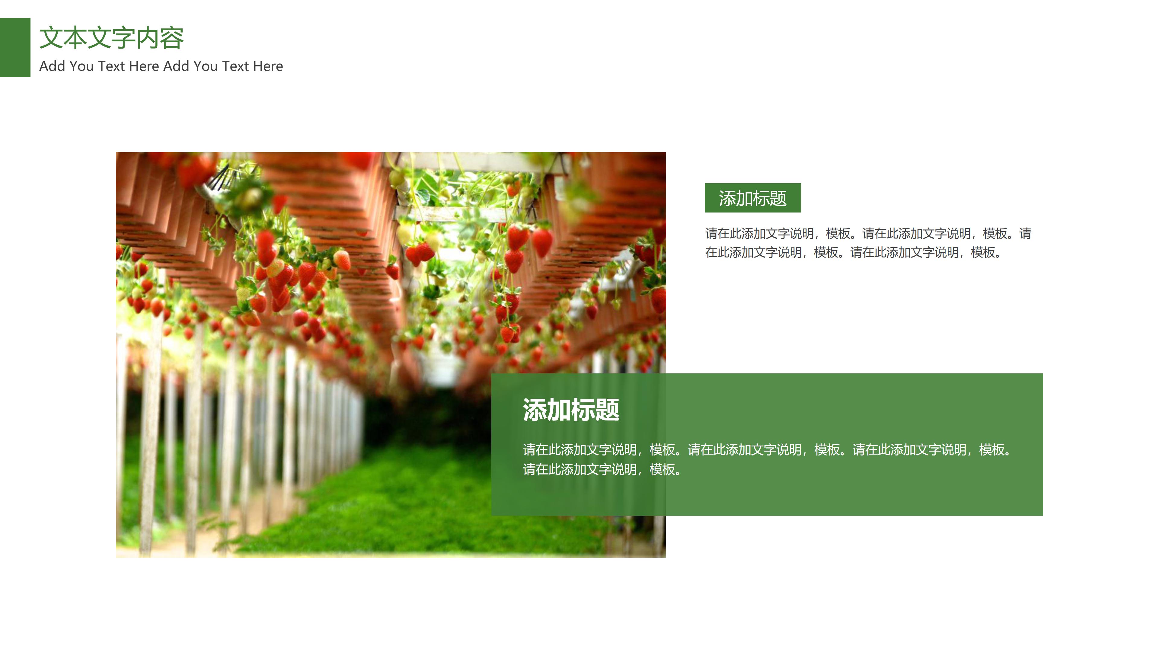 初中生禁毒安全宣传ppt模板