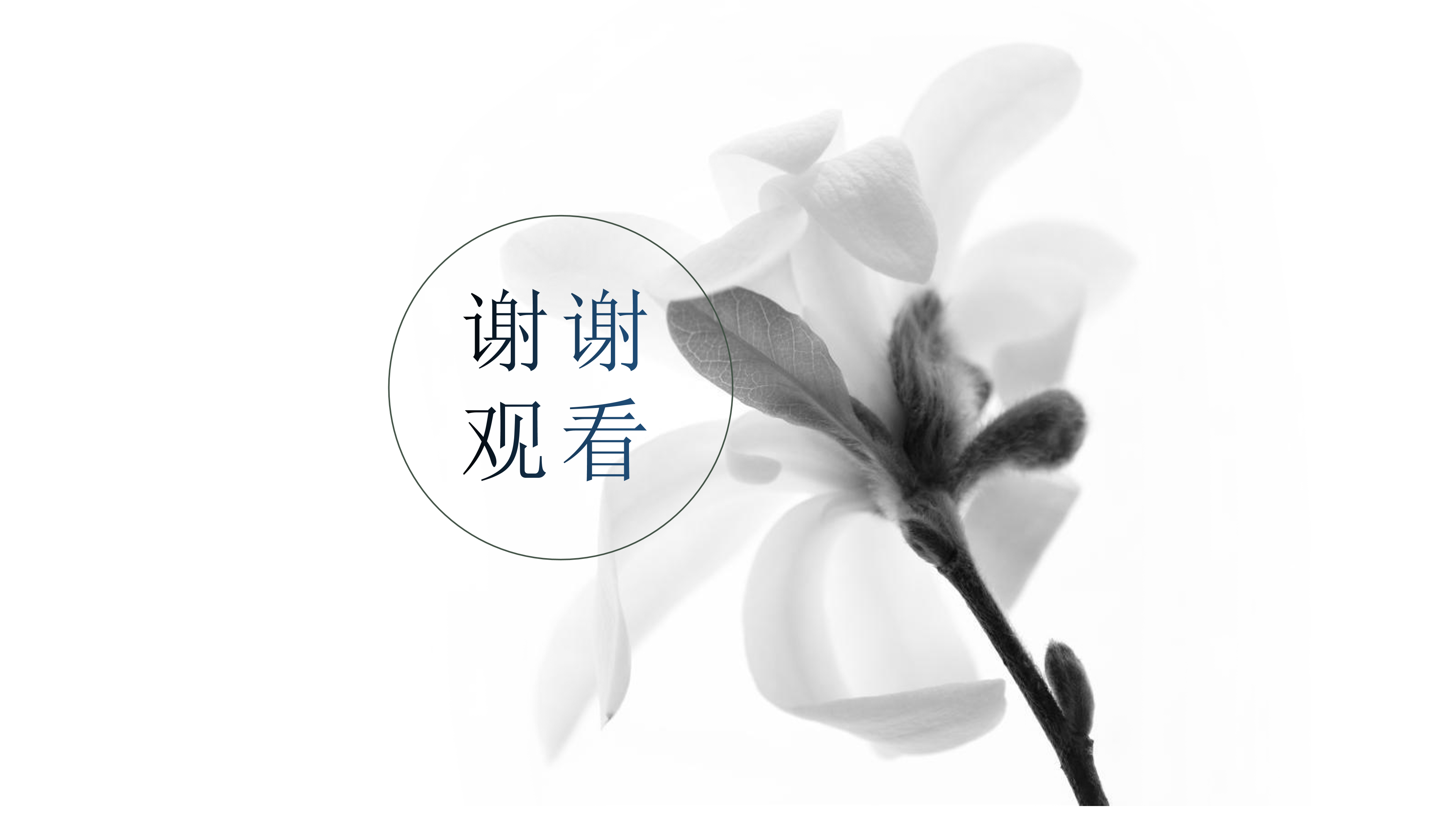 清雅中国风黑白ppt模板