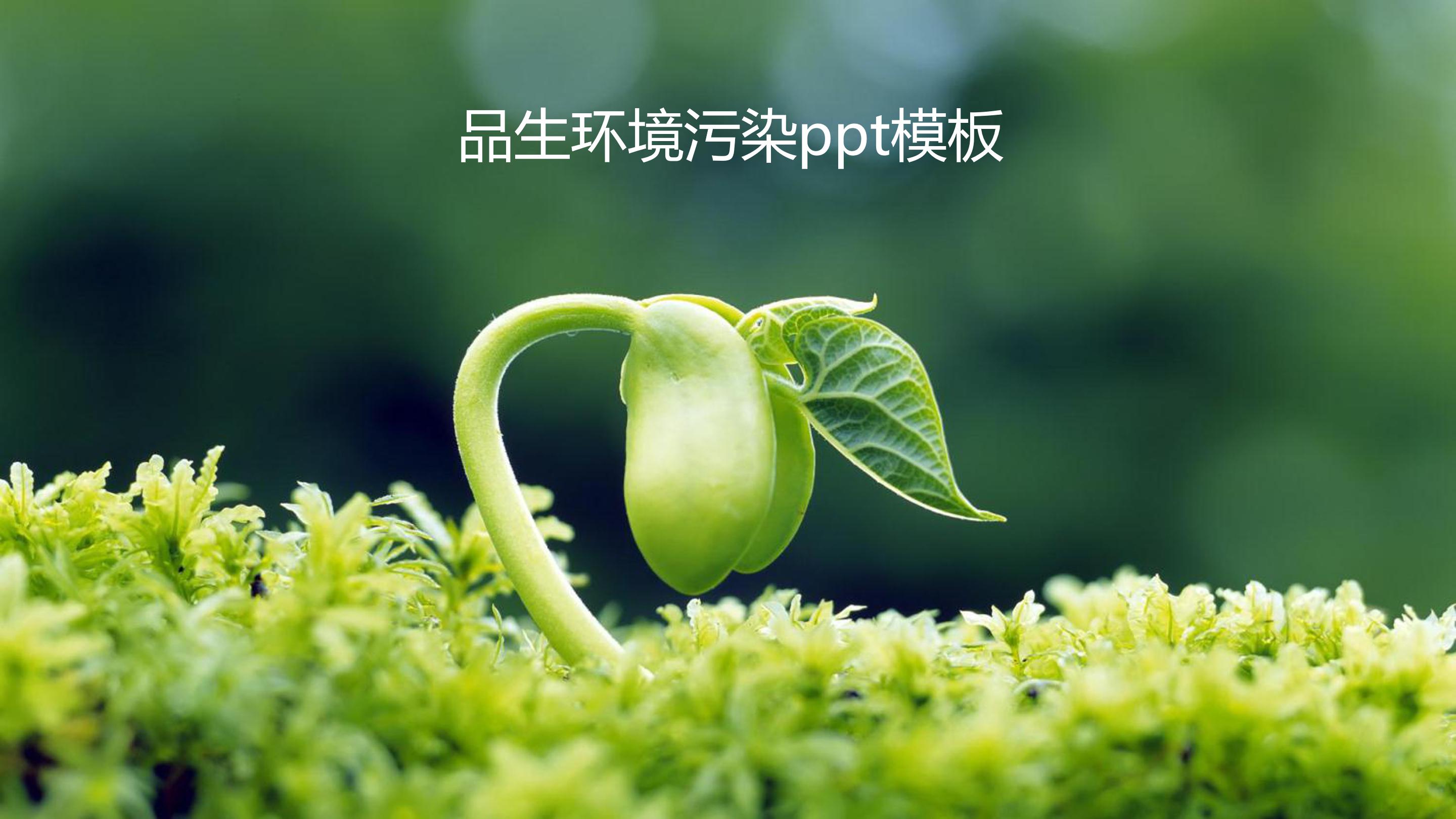 品生环境污染ppt模板