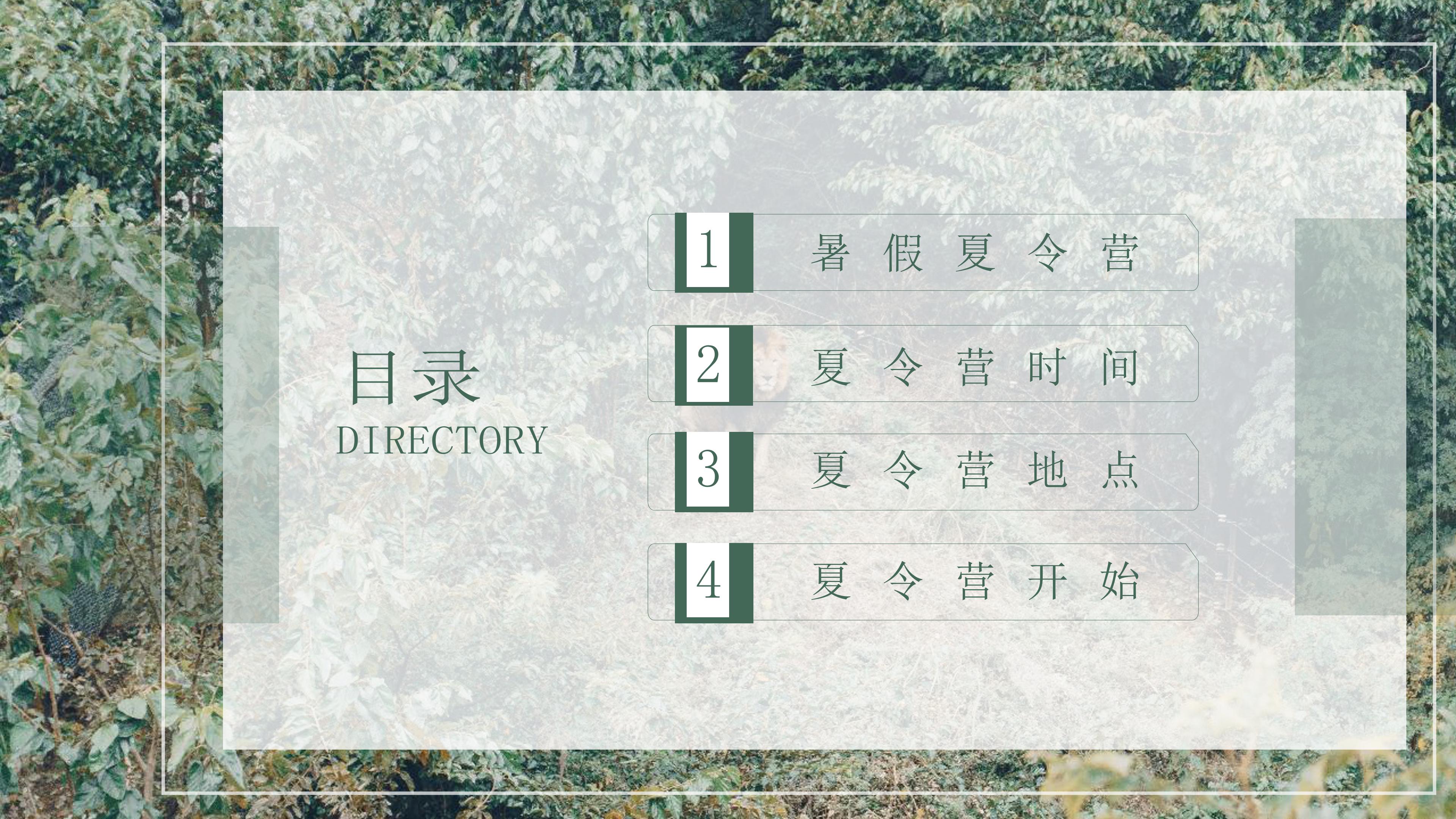 清新实拍树林背景暑假夏令营活动计划书PPT模板