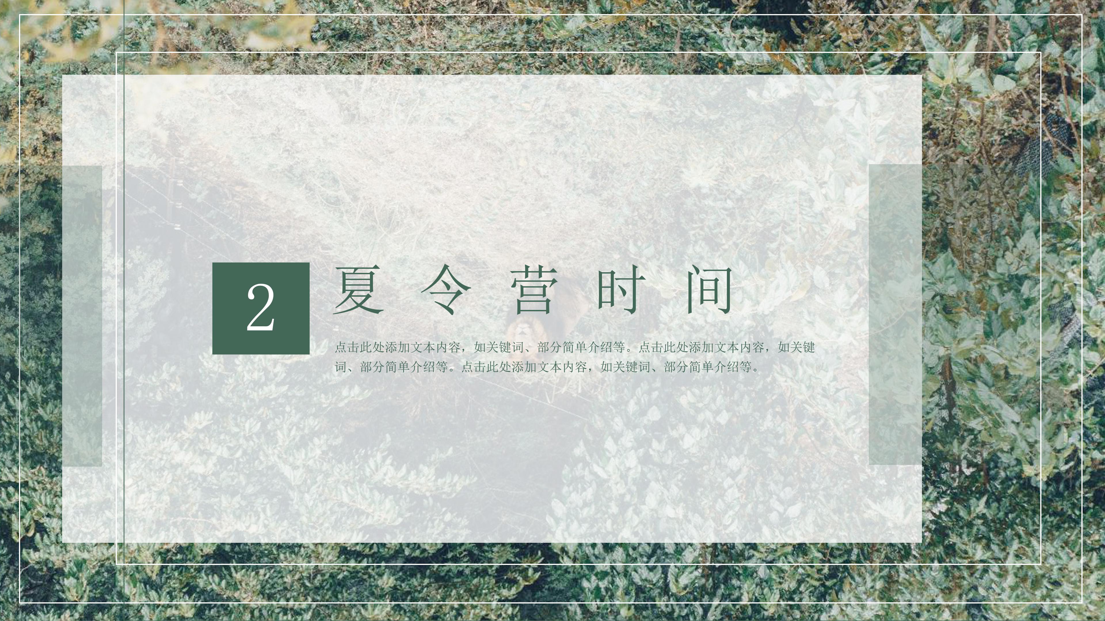 清新实拍树林背景暑假夏令营活动计划书PPT模板