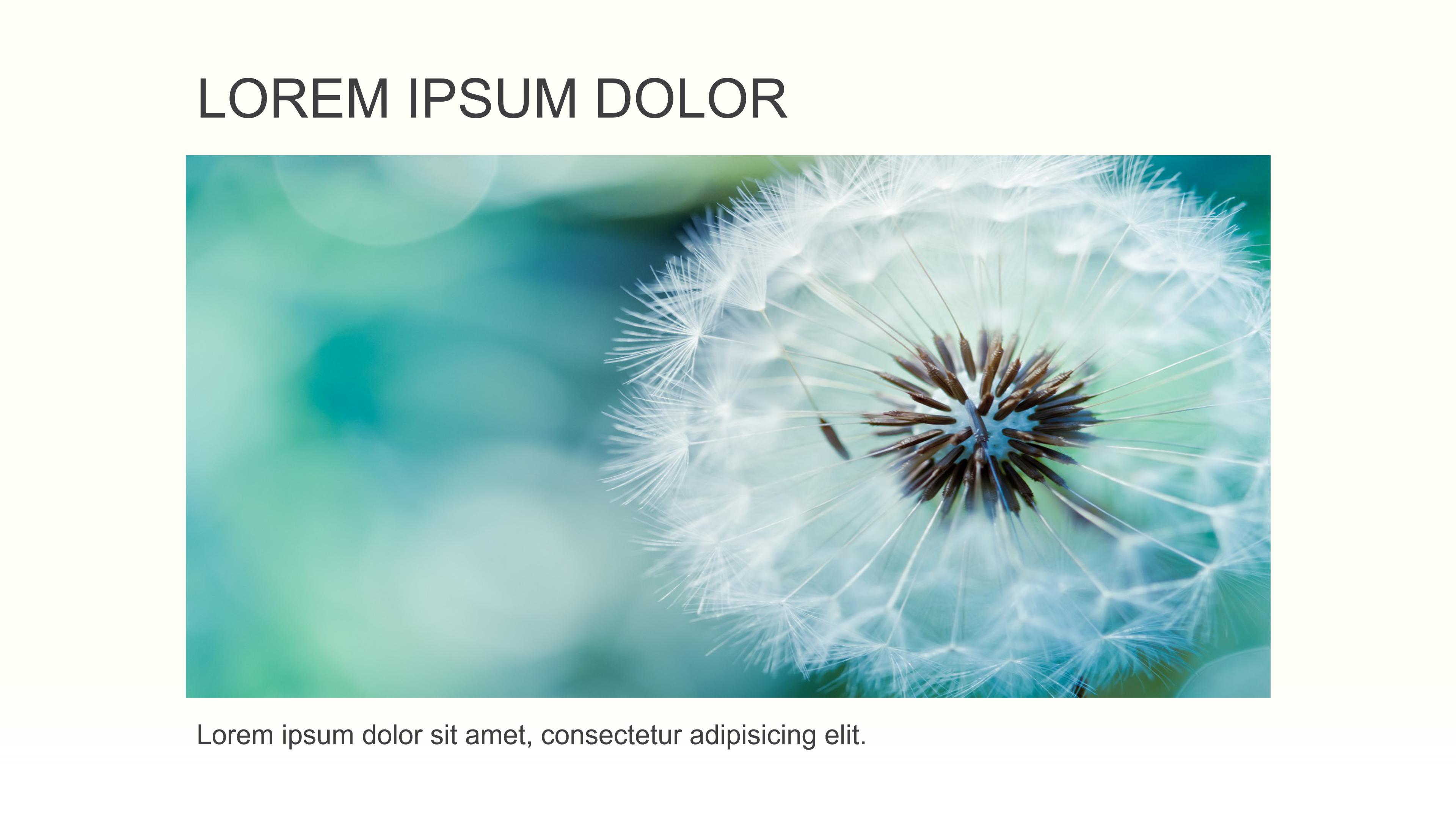 自制绘本故事ppt模板