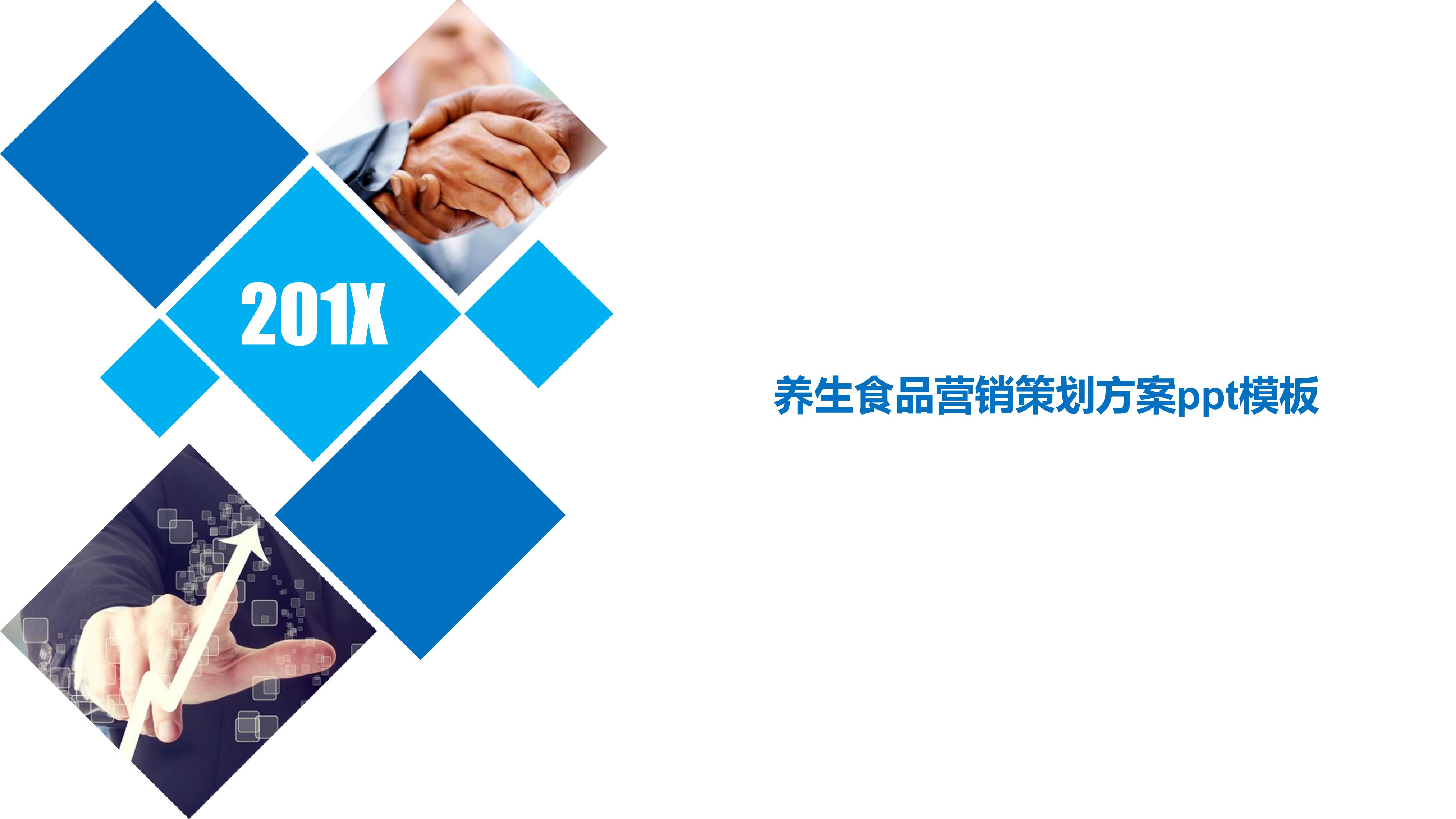 养生食品营销策划方案ppt模板