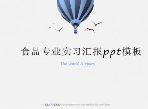 食品专业实习汇报ppt模板