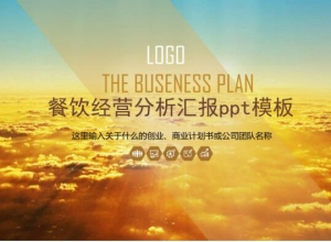 餐饮经营分析汇报ppt模板