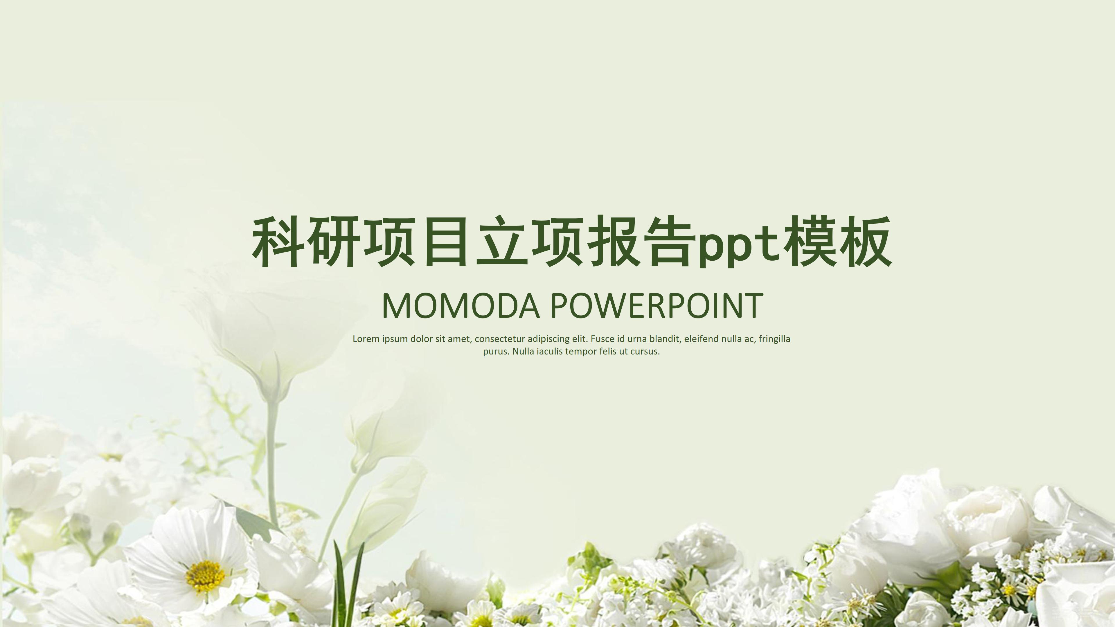 科研项目立项报告ppt模板