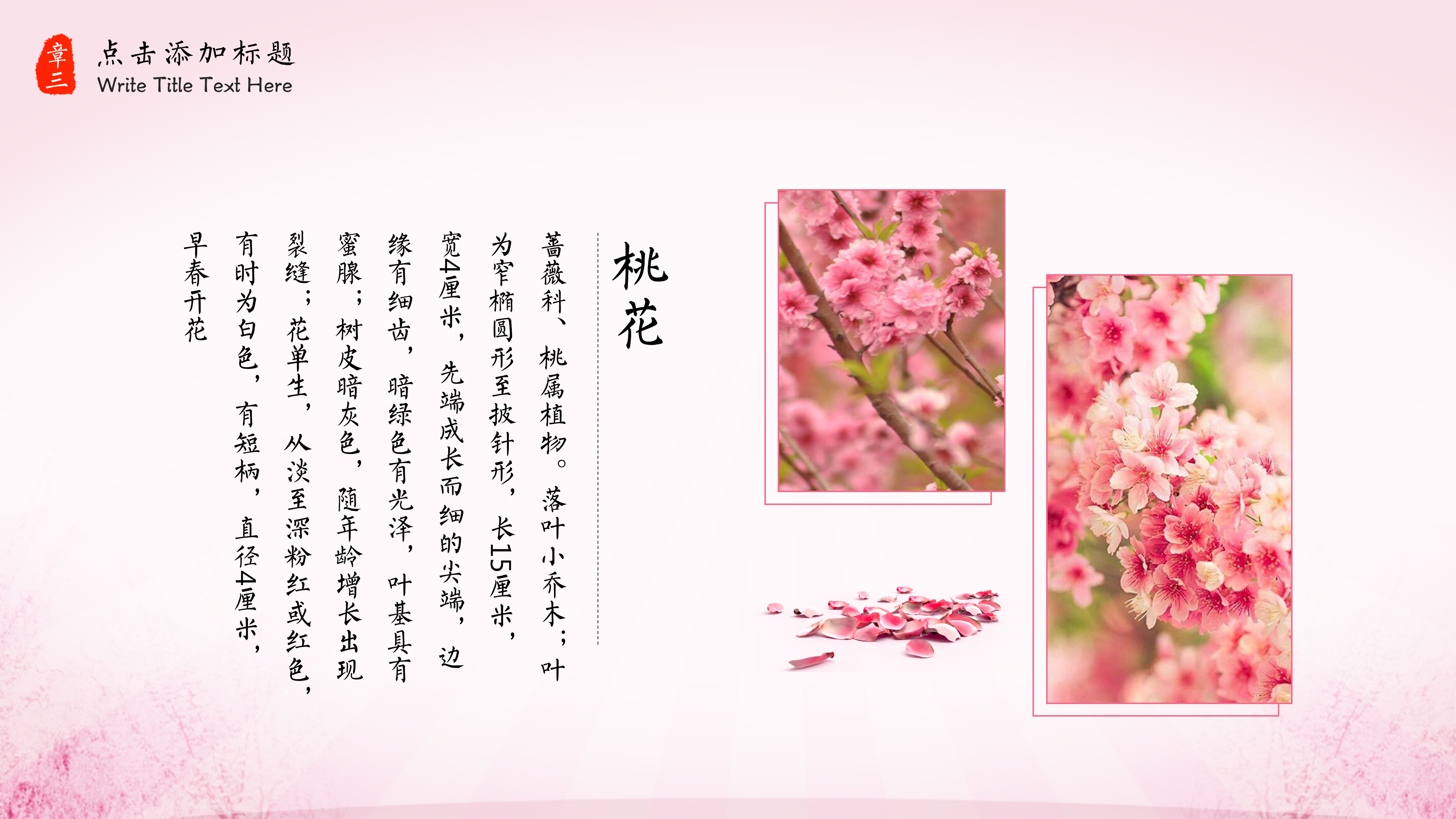 淡雅唯美中国风古典桃花ppt模板