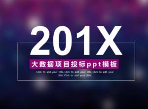 大数据项目投标ppt模板