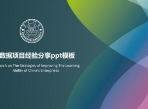 大数据项目经验分享ppt模板
