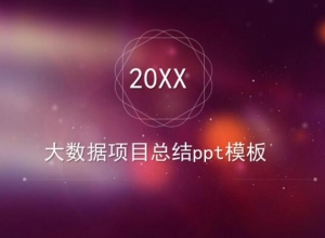 大数据项目总结ppt模板