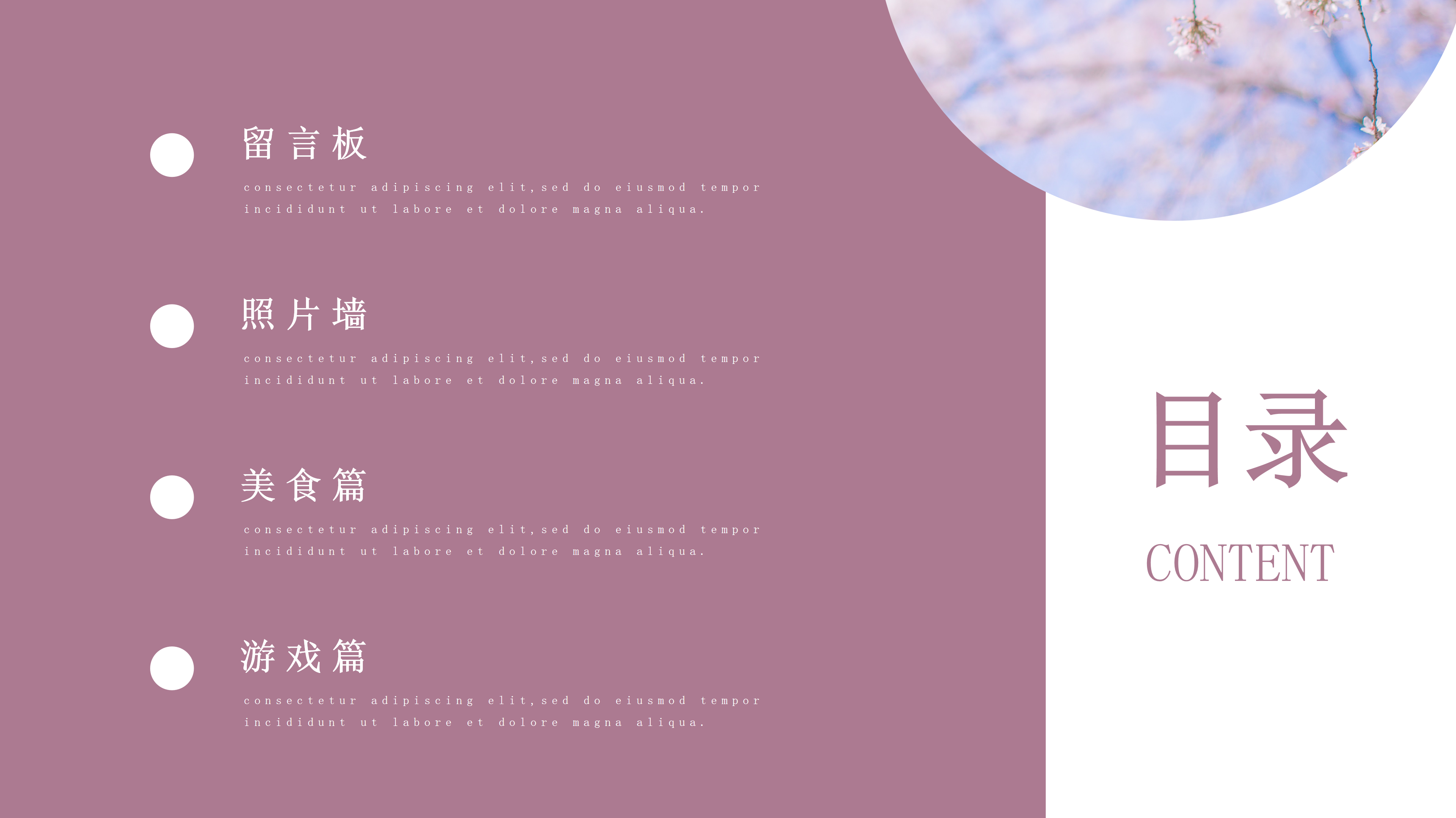 淡雅清新简约青春纪念册通用PPT模板