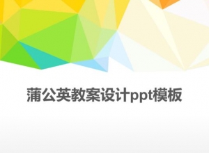 蒲公英教案设计ppt模板
