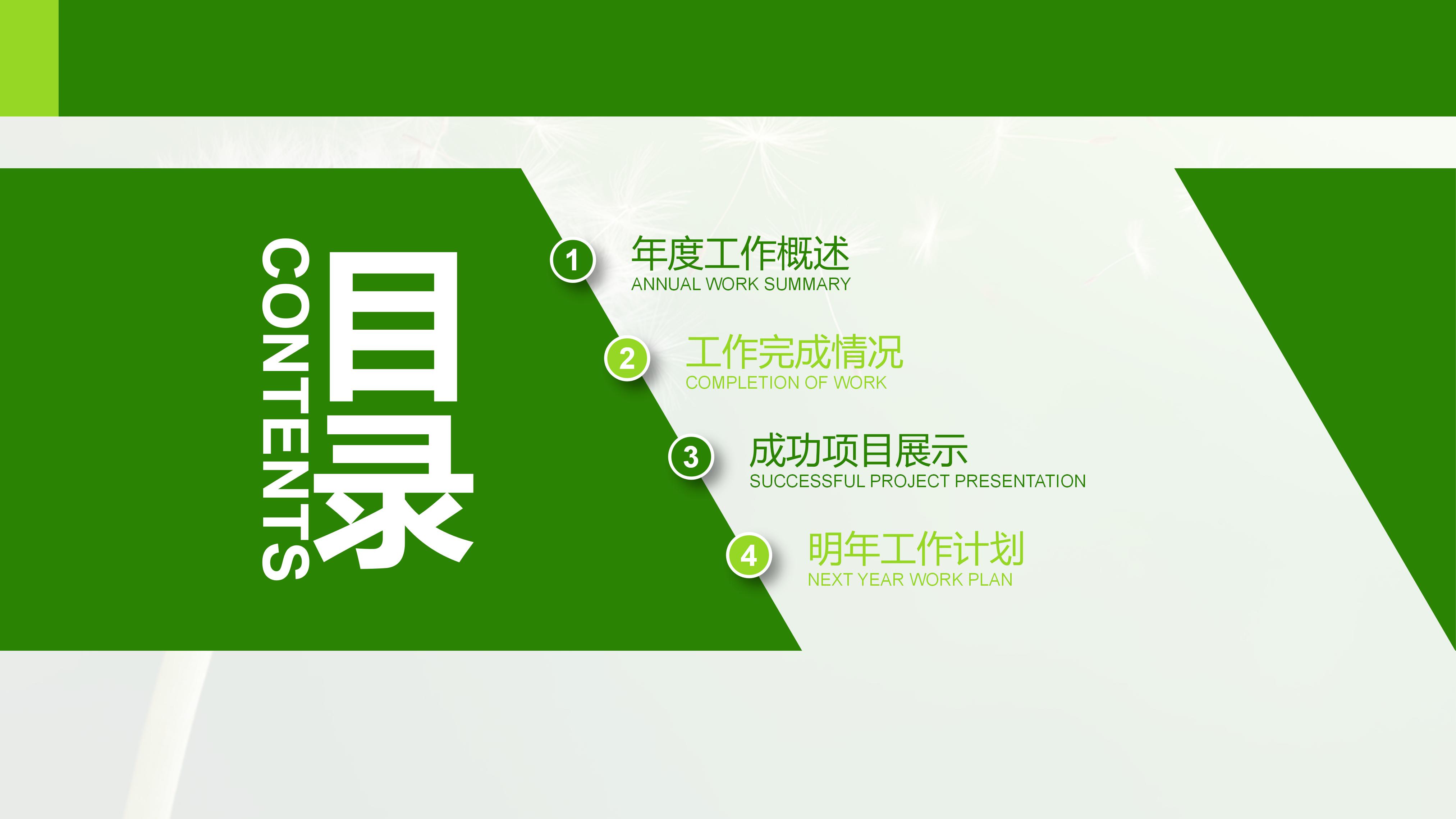 建设项目介绍ppt模板