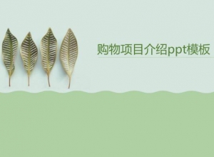 购物项目介绍ppt模板