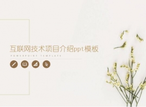 互联网技术项目介绍ppt模板