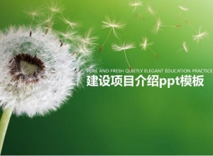 建设项目介绍ppt模板