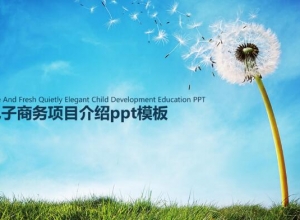 电子商务项目介绍ppt模板