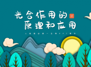 时尚卡通三维剪纸背景生物教学课件PPT模板