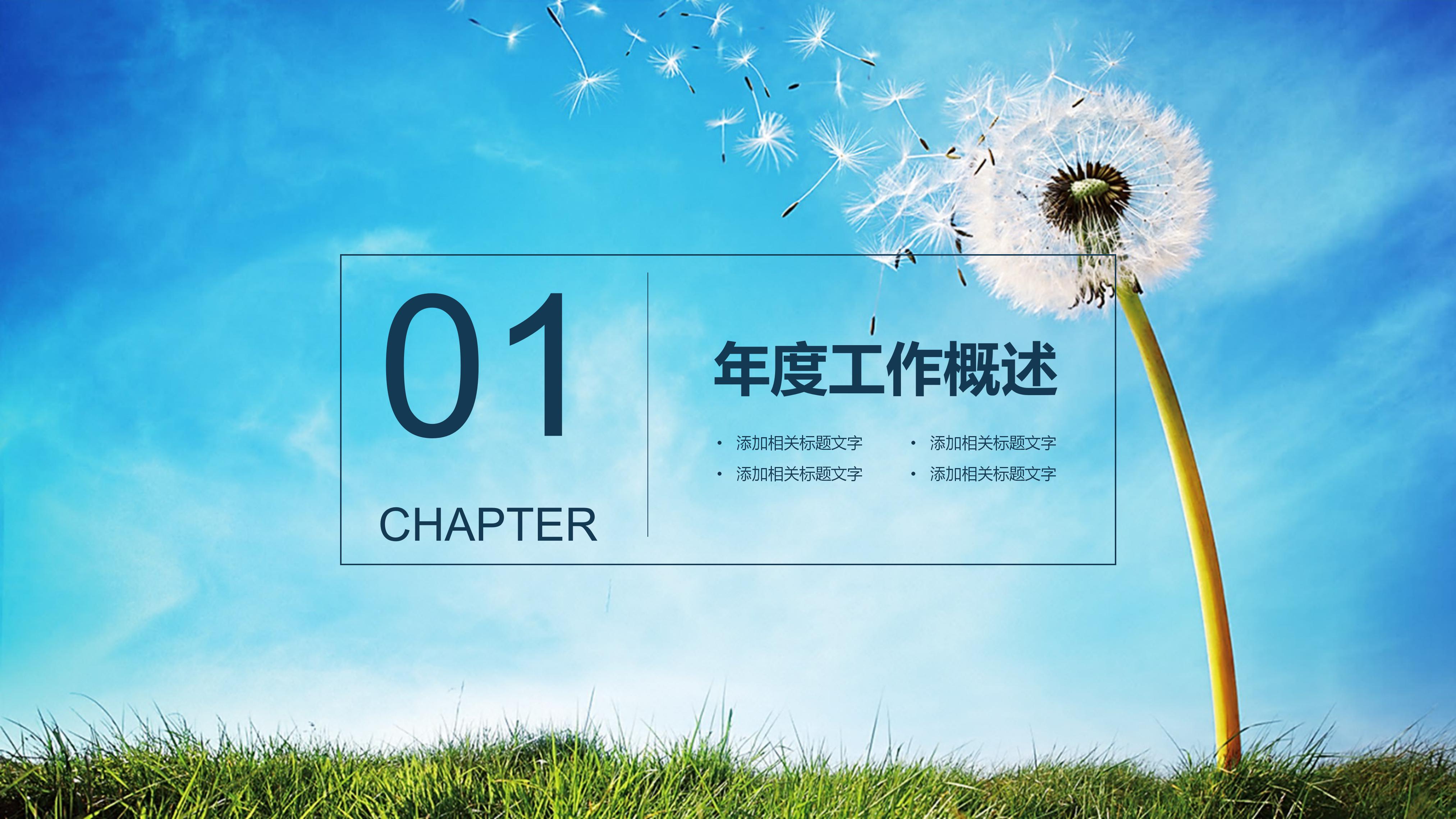 电子商务项目介绍ppt模板