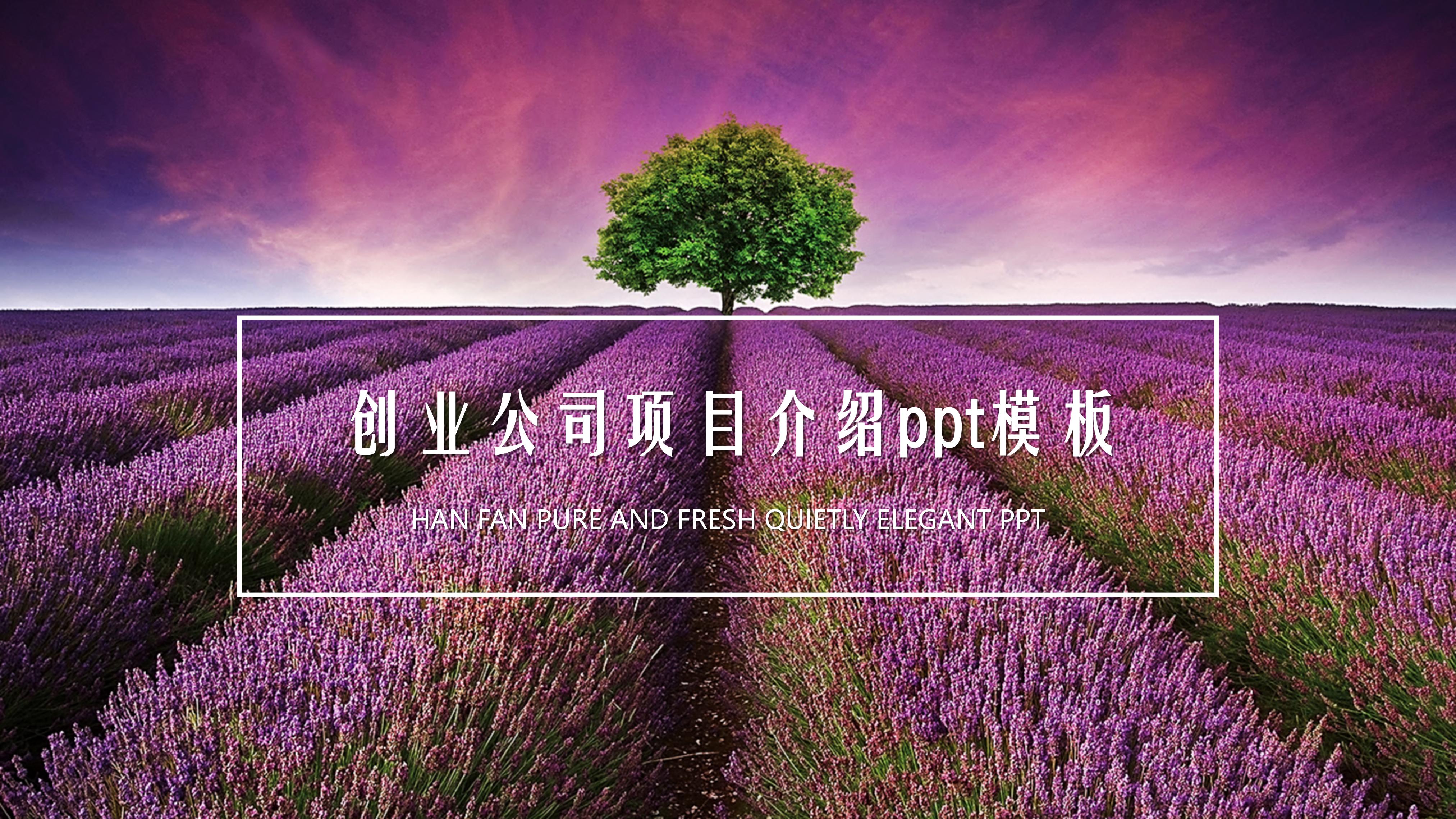 创业公司项目介绍ppt模板