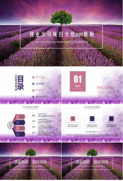 创业公司项目介绍ppt模板