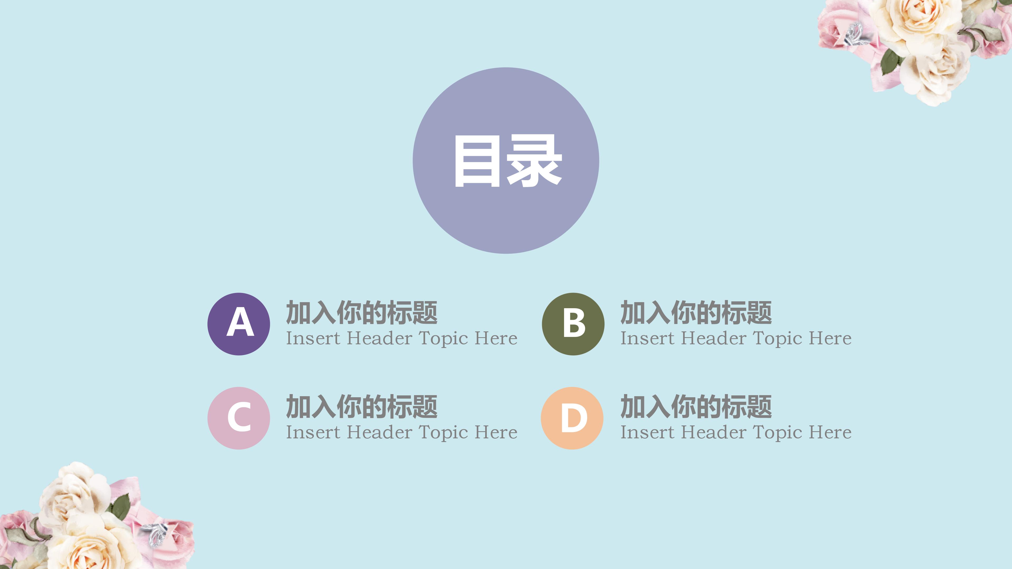 留学项目介绍ppt模板