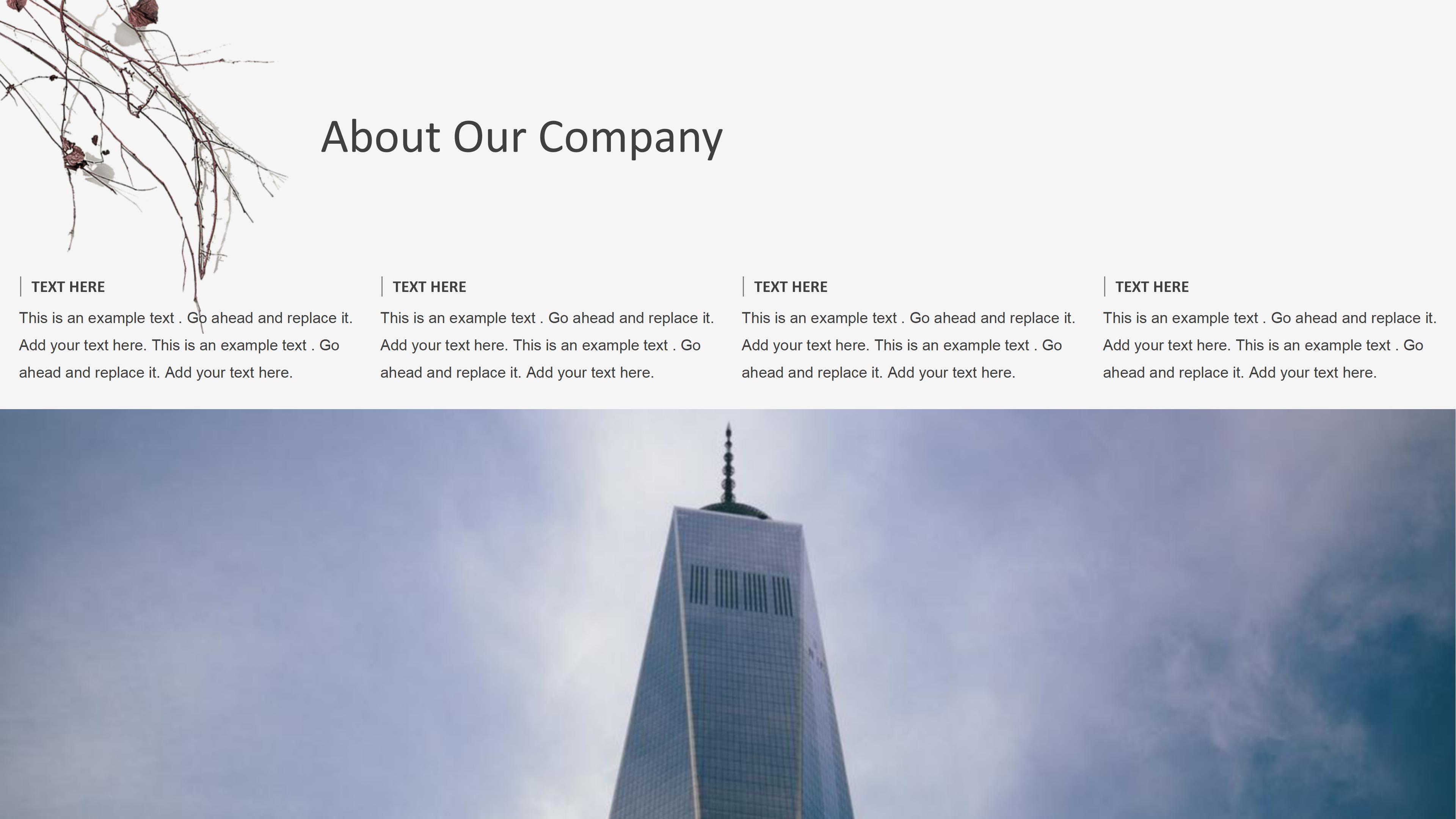 公益项目介绍ppt模板