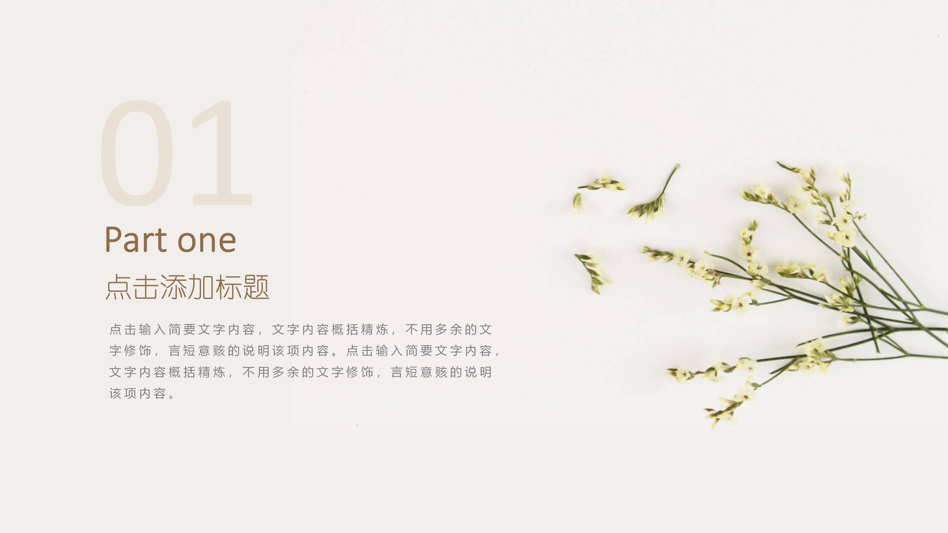 互联网技术项目介绍ppt模板