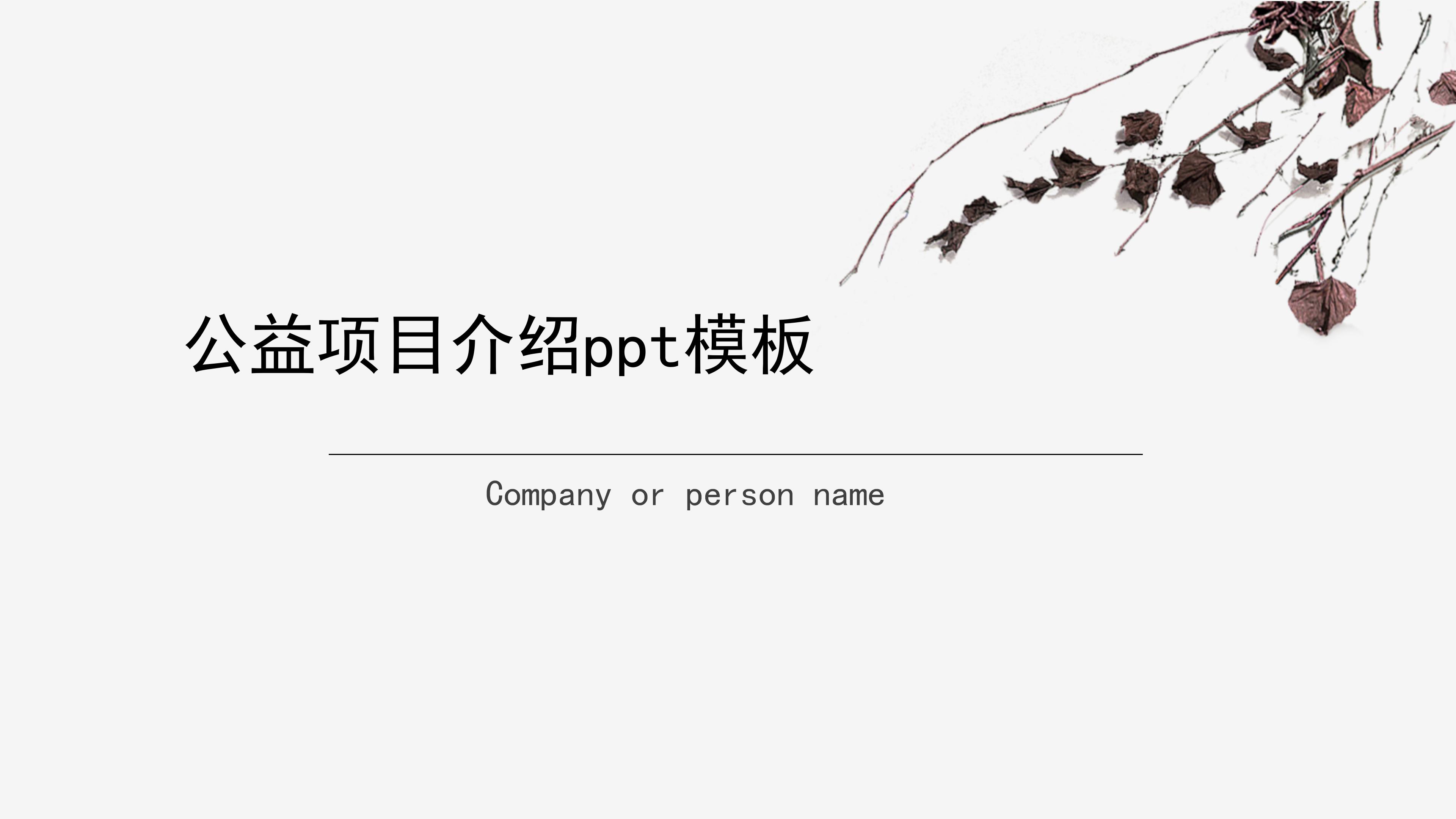 公益项目介绍ppt模板