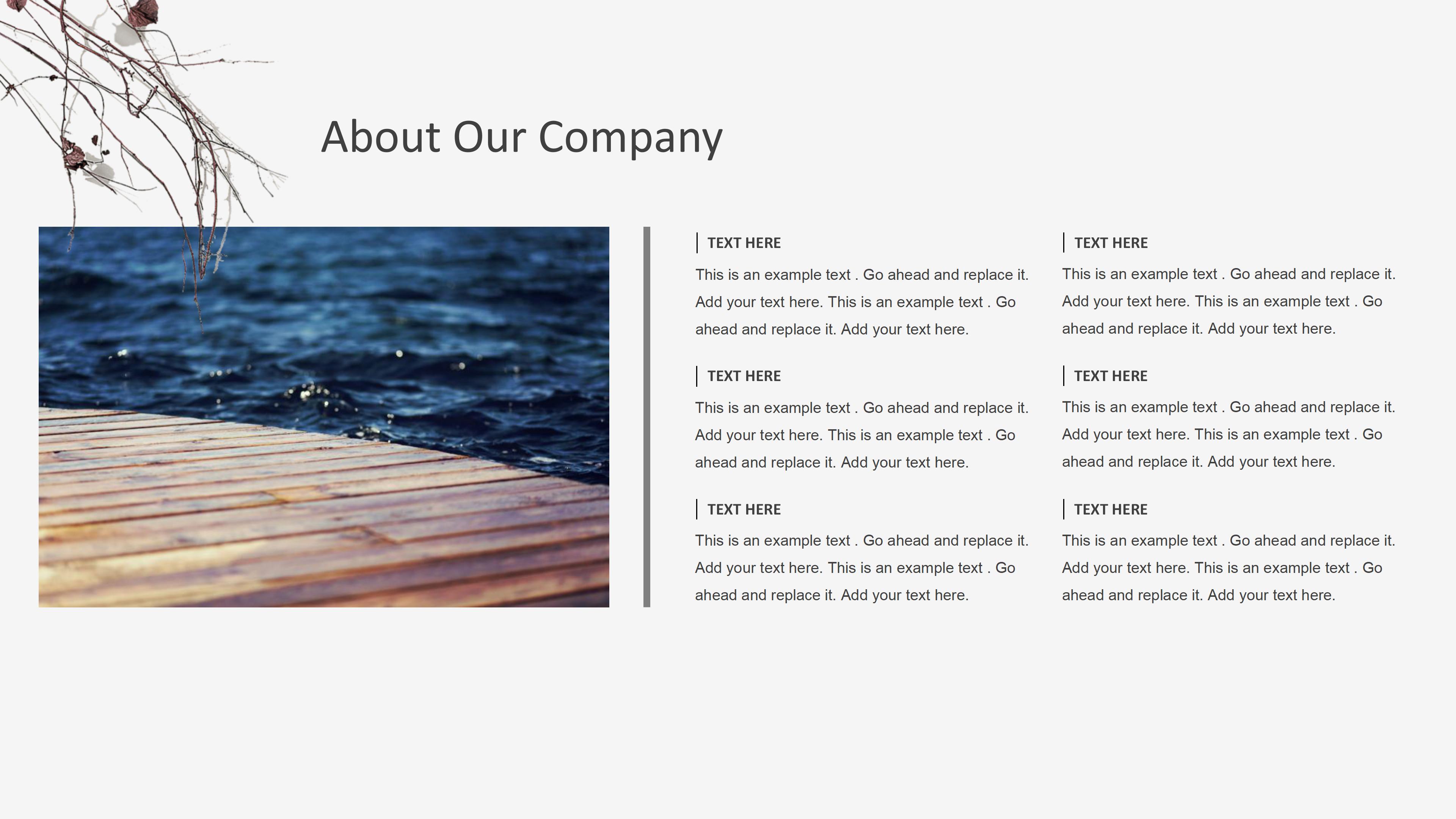 公益项目介绍ppt模板