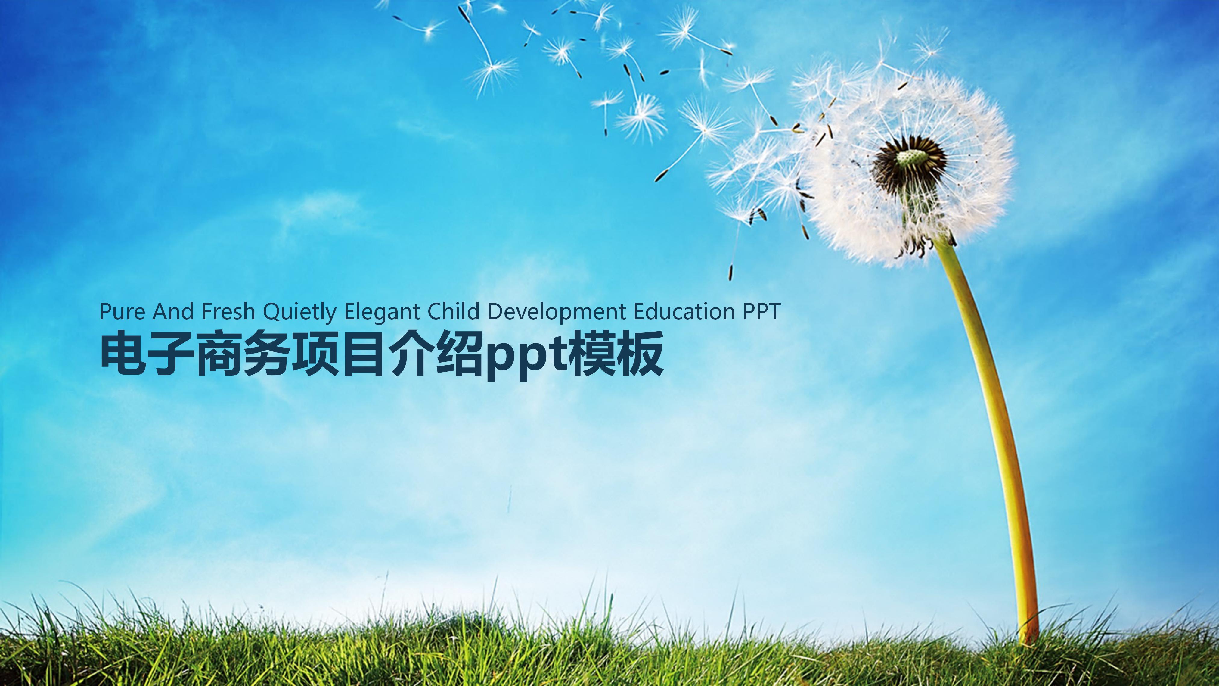 电子商务项目介绍ppt模板