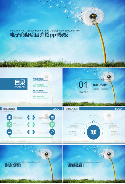 电子商务项目介绍ppt模板