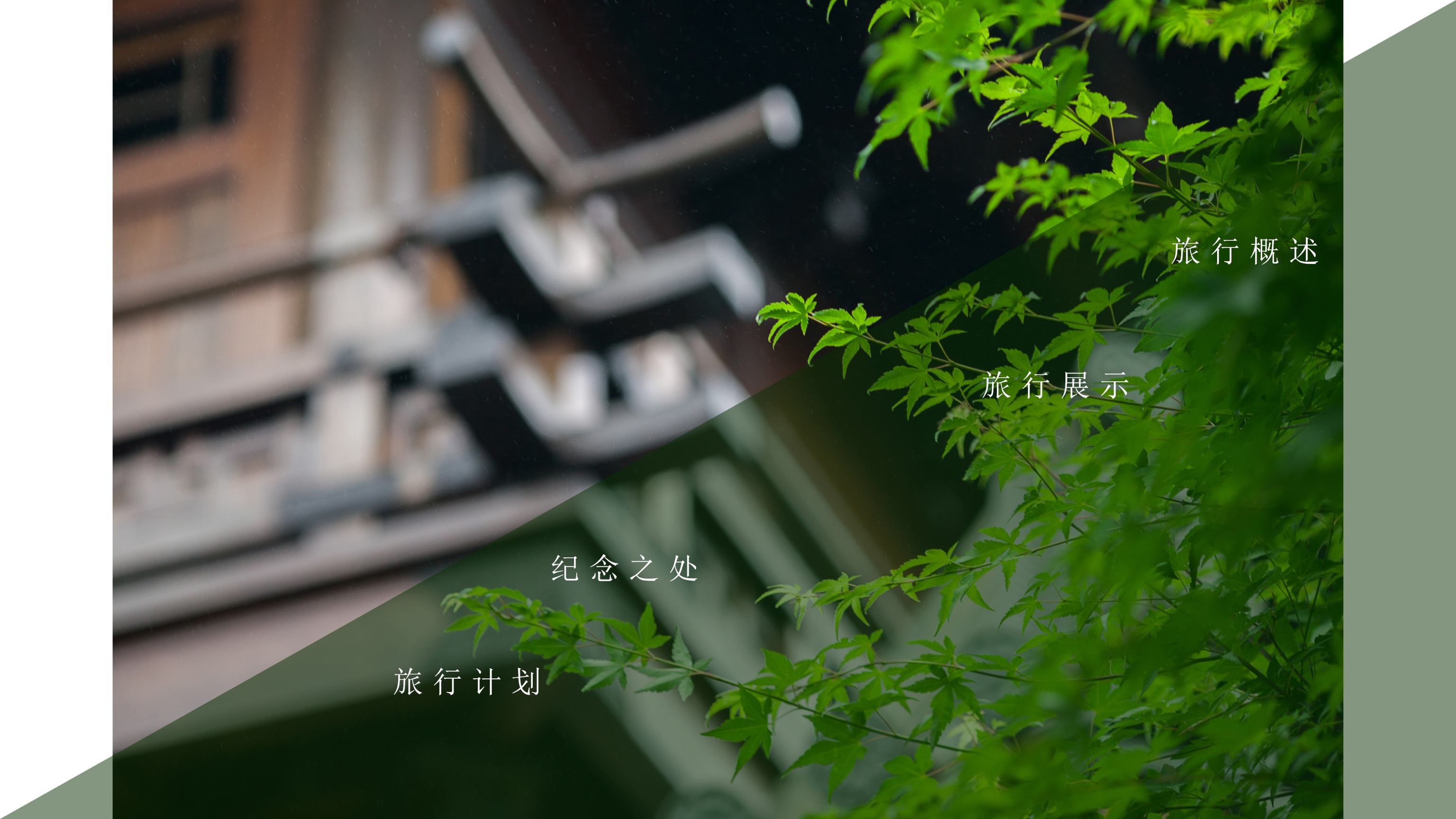 时尚绿色清新旅游纪念PPT模板