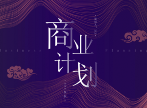 时尚大气唯美线条点缀公司商业计划书PPT模板