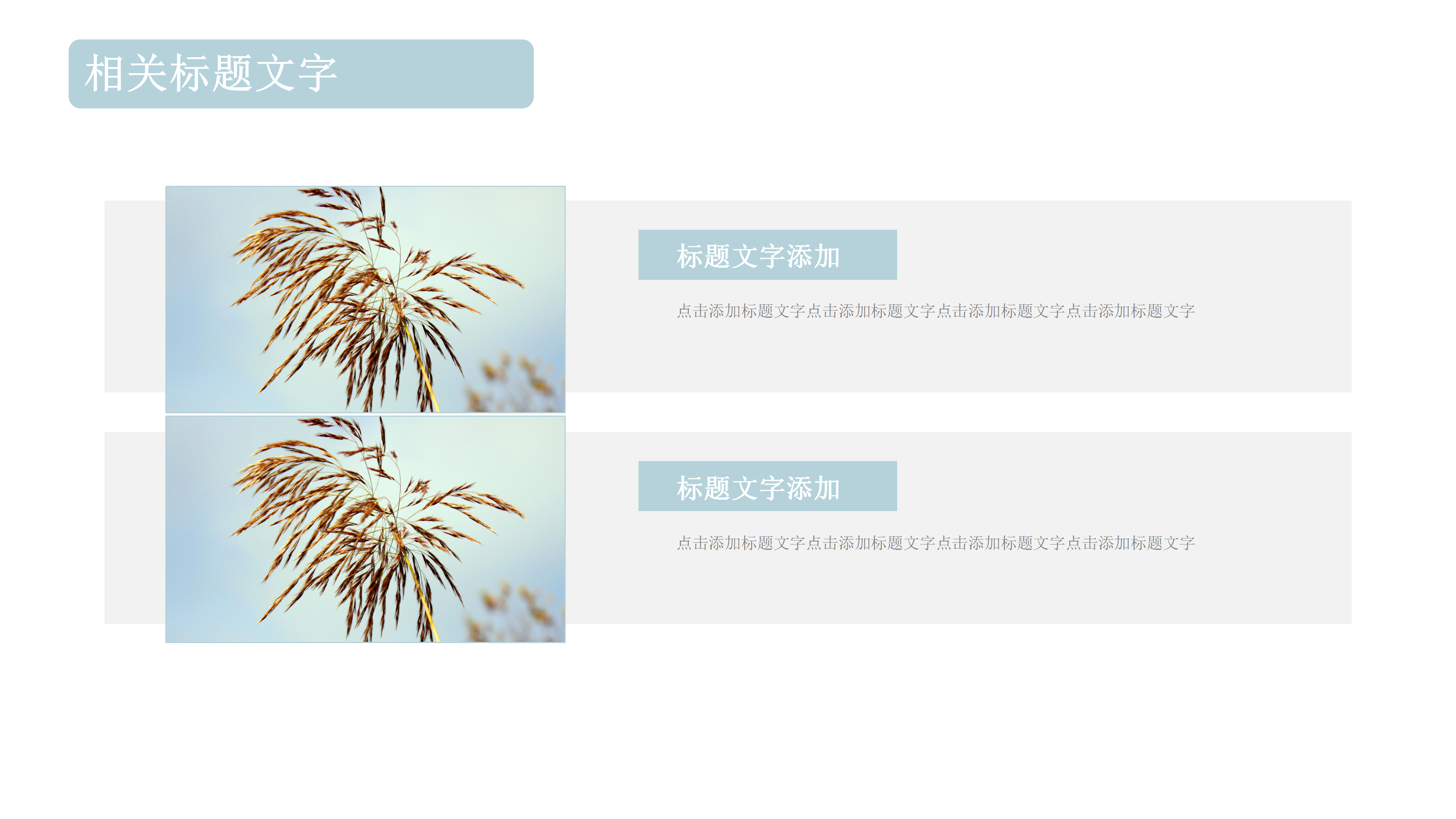 时尚简约清新个人简历PPT模板