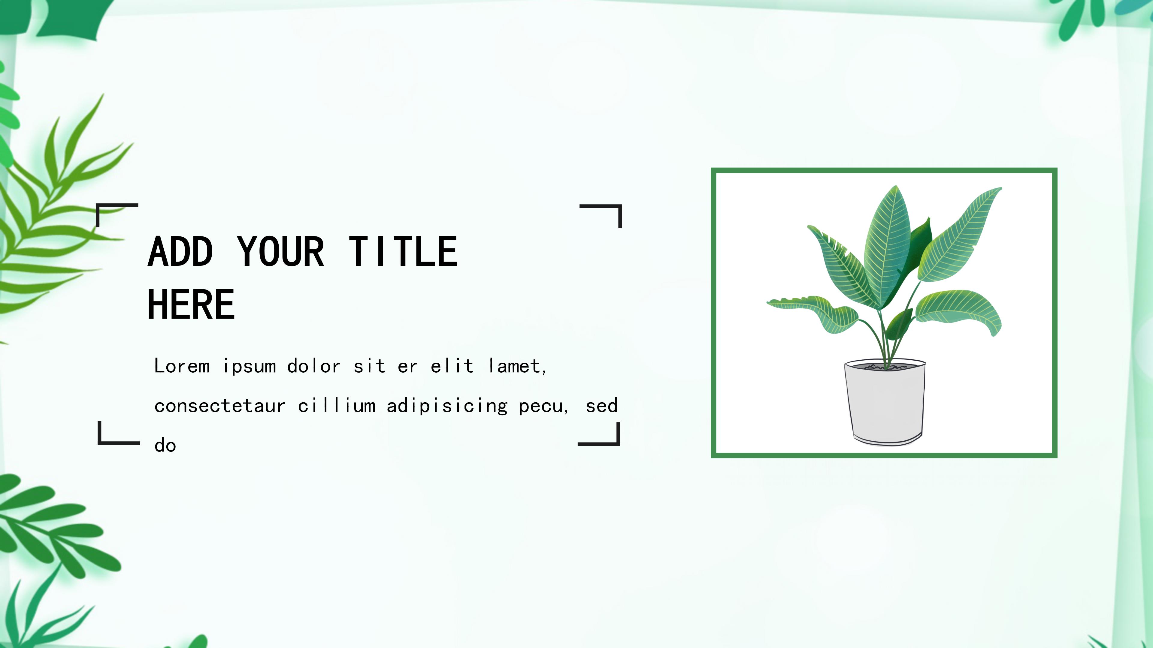 绿色小清新植物点缀个人简历竞聘PPT模板