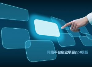 网络平台创业项目ppt模板