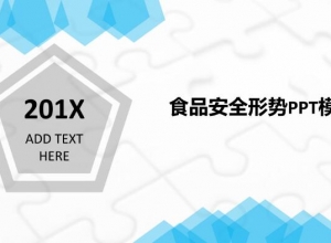 食品安全形势ppt模板