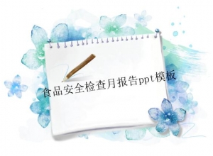 食品安全检查月报告ppt模板