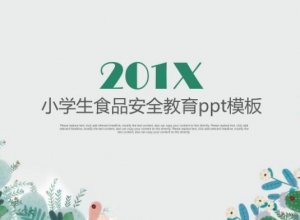 小学生食品安全教育ppt模板