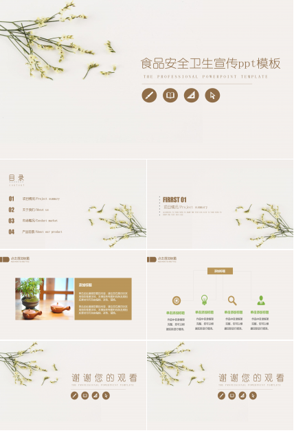 食品安全卫生宣传ppt模板