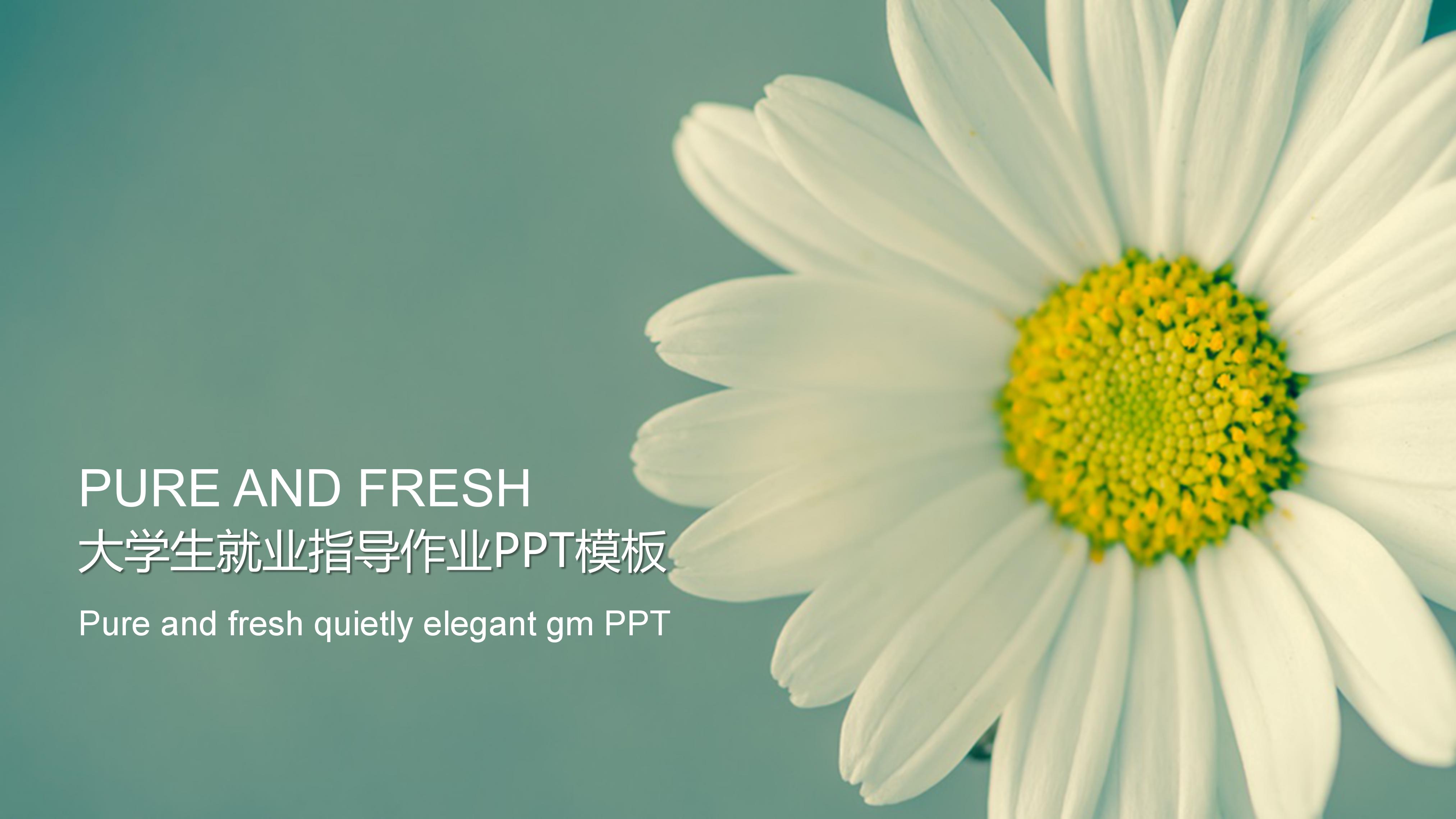 大学生就业指导作业ppt模板