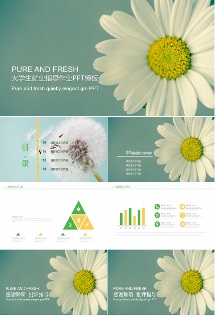 大学生就业指导作业ppt模板