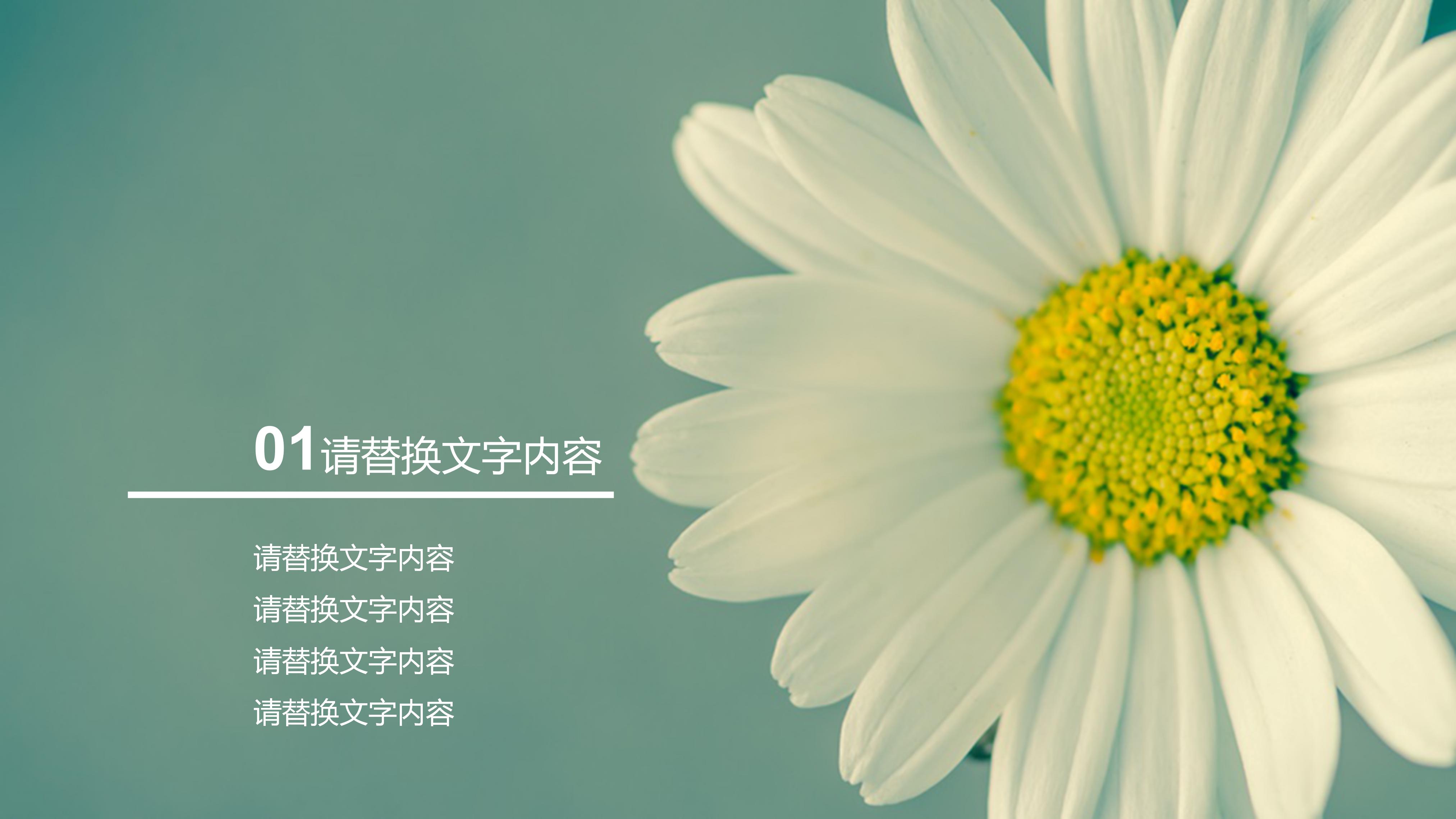 大学生就业指导作业ppt模板