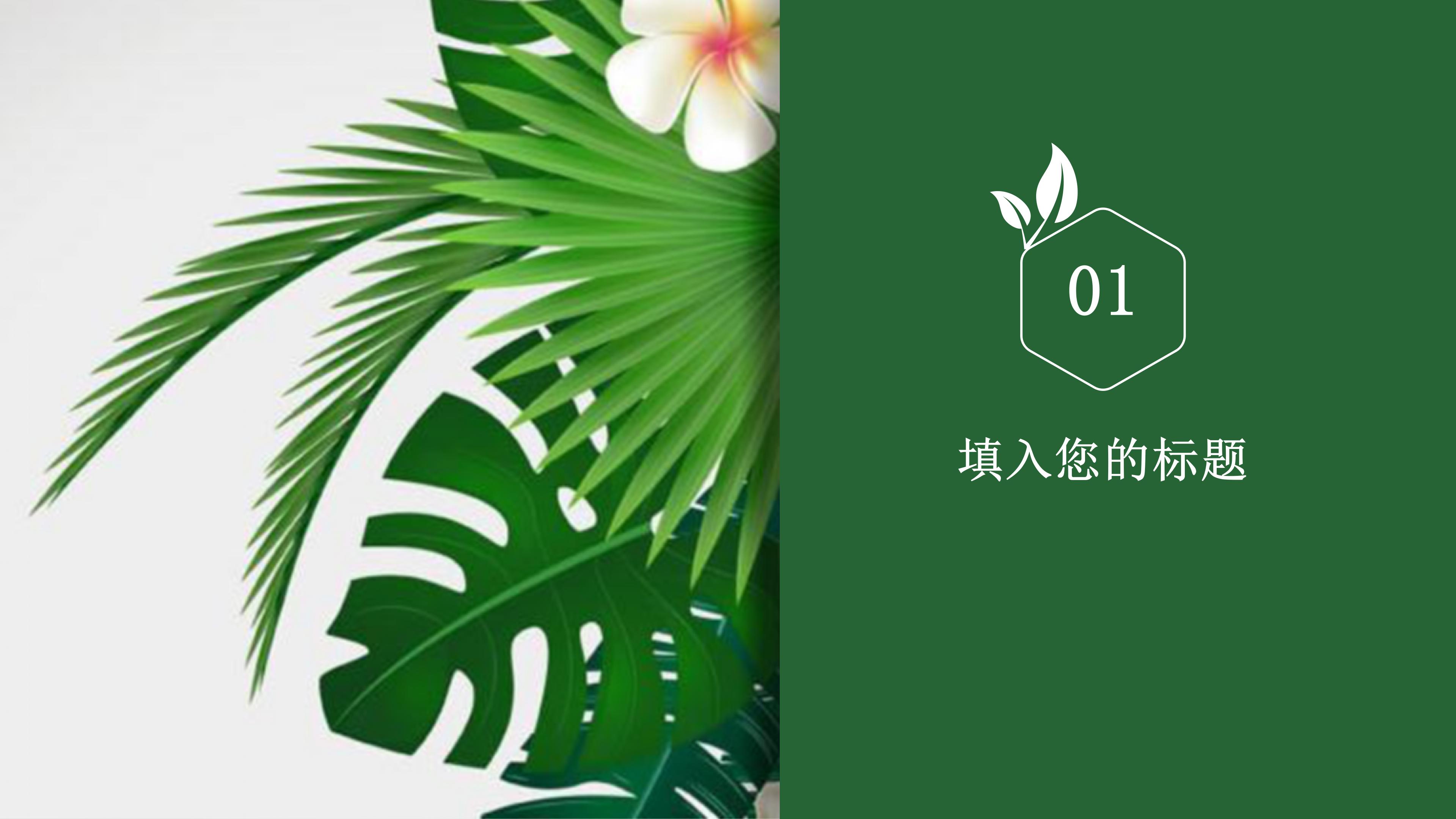 煤立磨作业指导书ppt模板