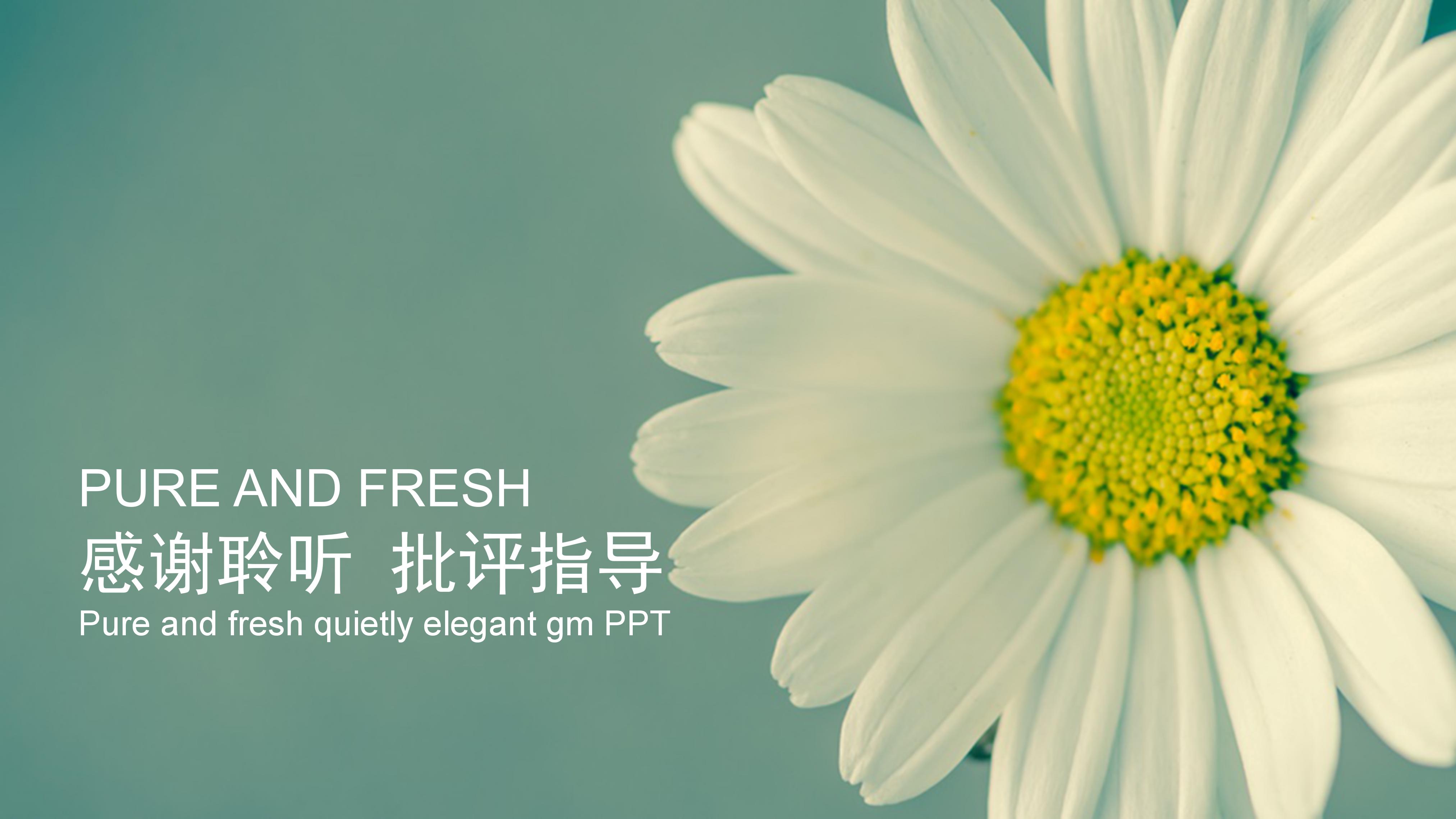 大学生就业指导作业ppt模板