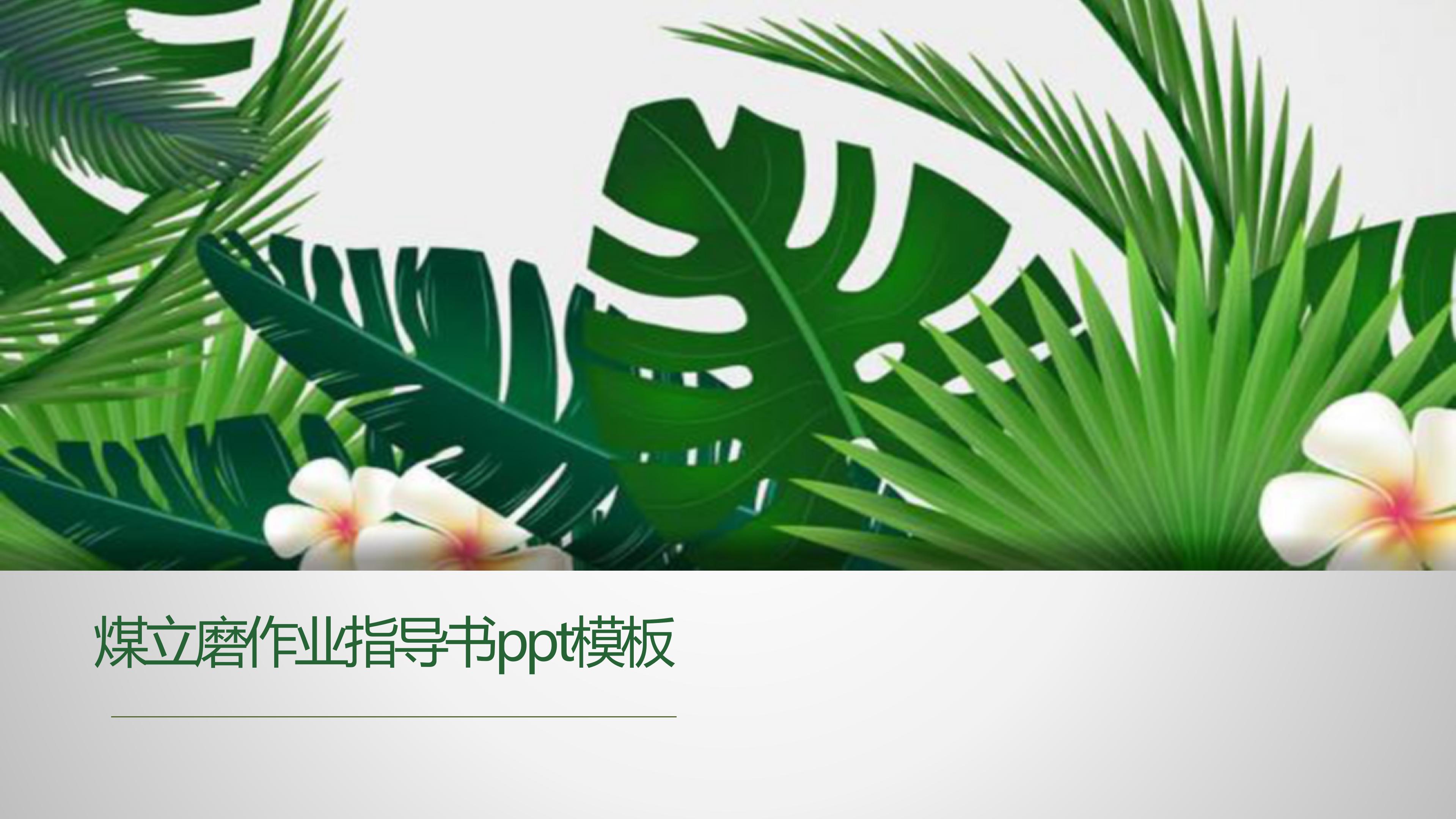 煤立磨作业指导书ppt模板